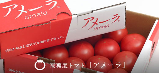 高糖度トマト「アメーラ」