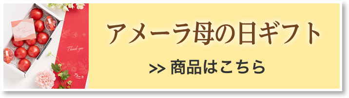 アメーラ母の日ギフト