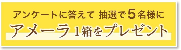 アンケートに答えて抽選で5名様にアメーラ1箱をプレゼント