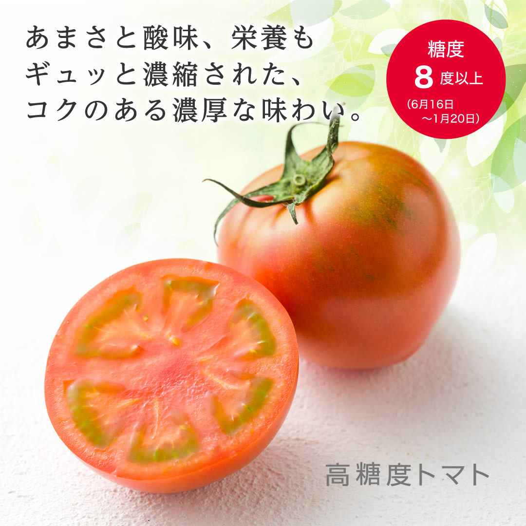 高濃度トマト アメーラ あまさと酸味、栄養もギュッと濃縮された、コクのある濃厚な味わい