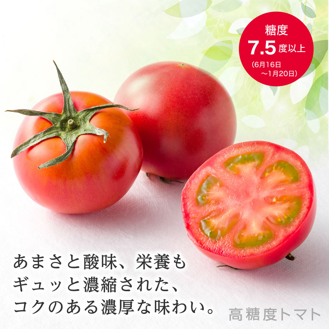 高濃度トマト アメーラ あまさと酸味、栄養もギュッと濃縮された、コクのある濃厚な味わい