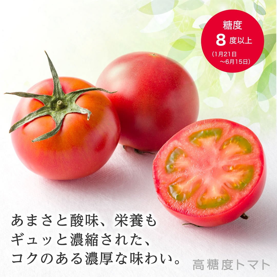 糖度8度以上、高濃度トマト アメーラ あまさと酸味、栄養もギュッと濃縮された、コクのある濃厚な味わい
