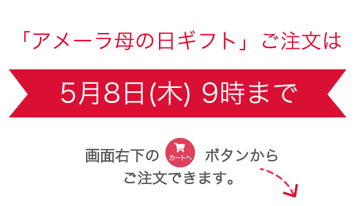 アメーラ母の日ギフトご注文は5月8日(木) 9時まで