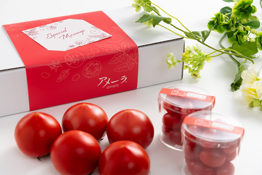 アメーラ母の日ギフト