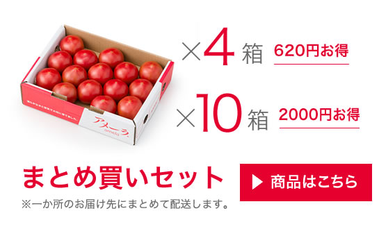 アメーラまとめ買いセット