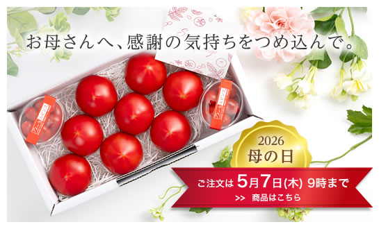 アメーラ母の日ギフト