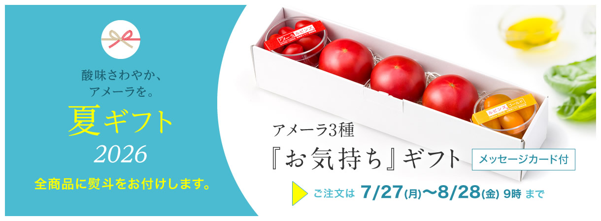 アメーラ夏ギフト