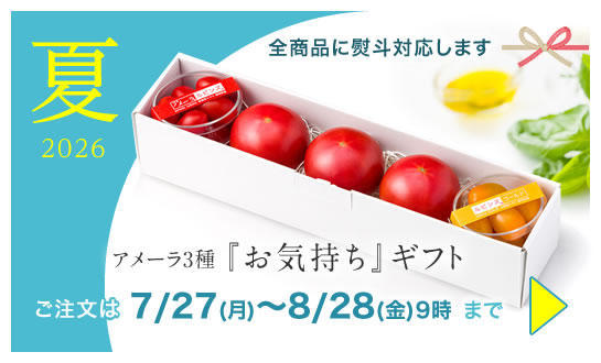 アメーラ夏ギフト